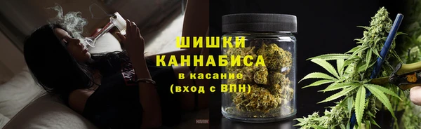 ПСИЛОЦИБИНОВЫЕ ГРИБЫ Алексеевка